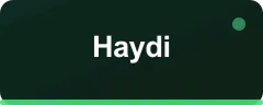 Haydi logo